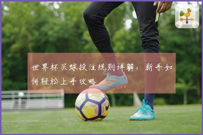 世界杯买球投注规则详解，新手如何轻松上手攻略