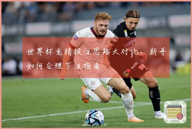 世界杯竞猜投注思路大对比，新手如何合理下注指南
