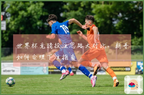 世界杯竞猜投注思路大对比，新手如何合理下注指南