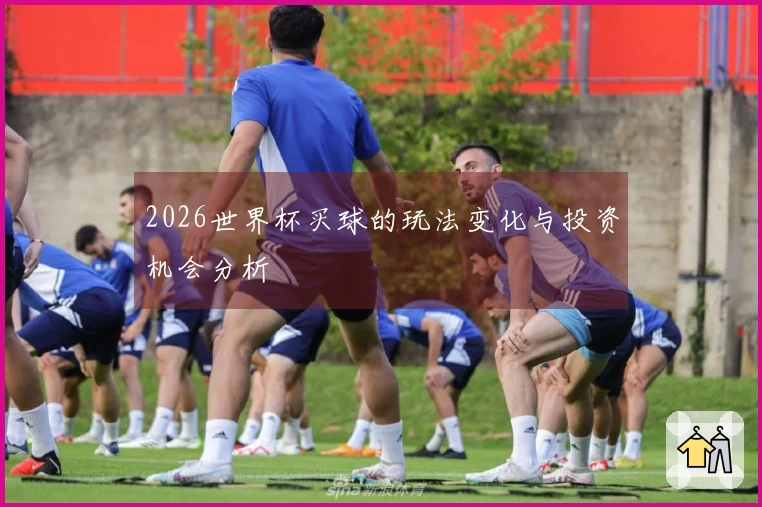2026世界杯买球的玩法变化与投资机会分析