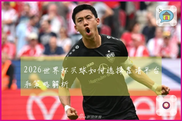 2026世界杯买球如何选择靠谱平台和策略解析