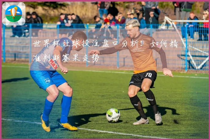 世界杯让球投注盘口分析：如何精准判断赛果走势