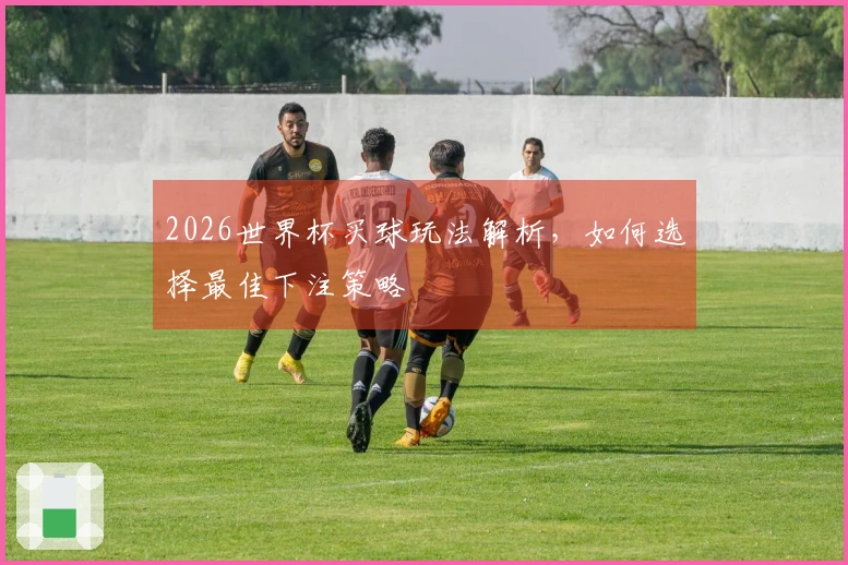 2026世界杯买球玩法解析，如何选择最佳下注策略